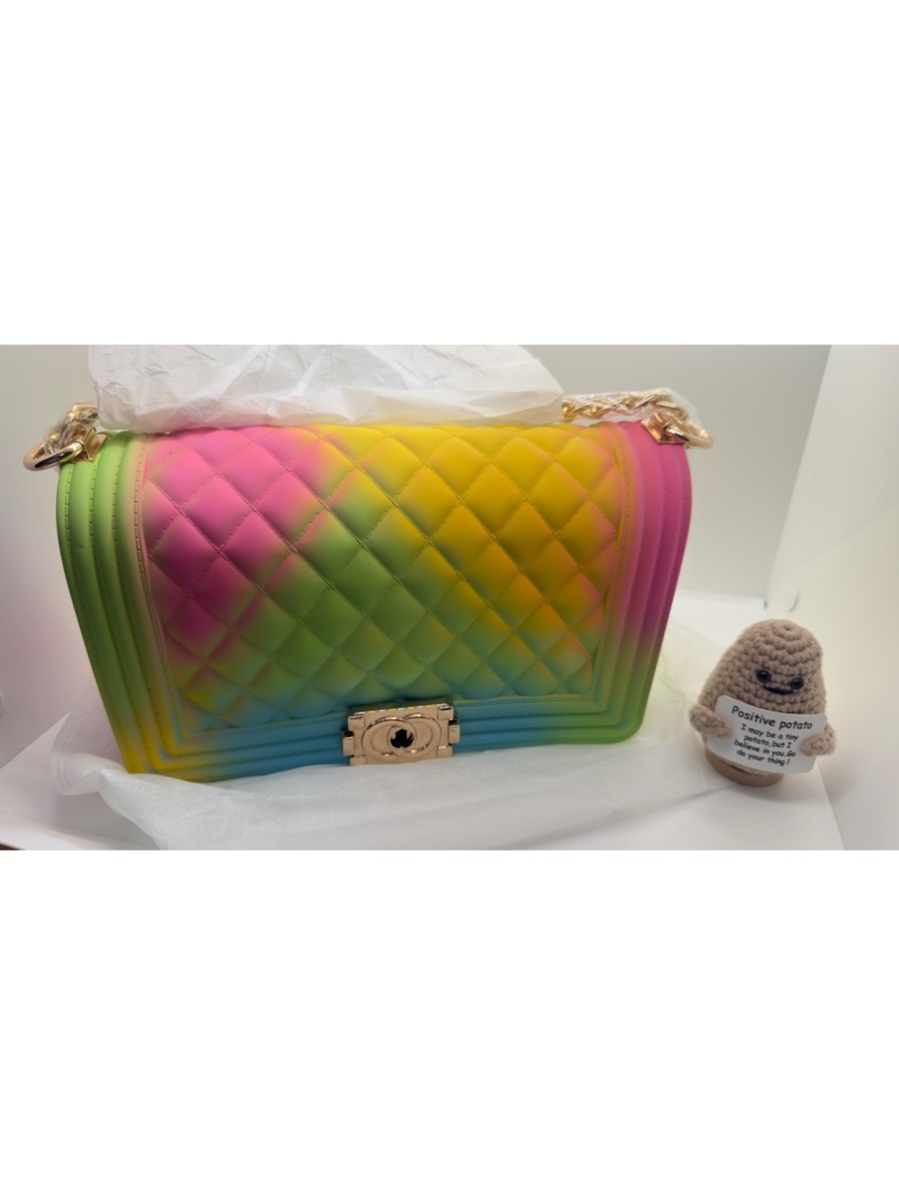 Jelly Purse Rainbow PVC boy double flap crossbody bag